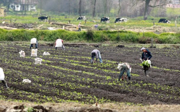 MinAgricultura y el Dane se unen para realizar un nuevo Censo Agropecuario