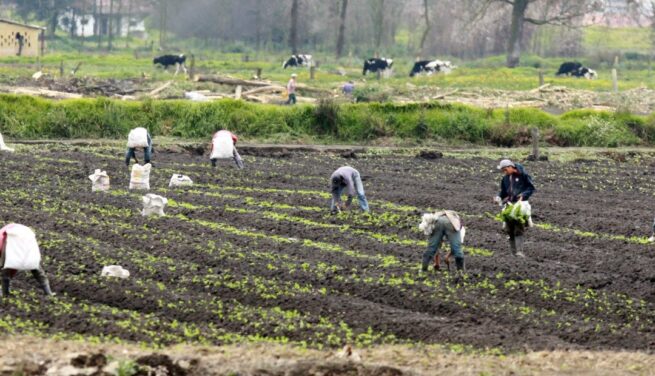 MinAgricultura y el Dane se unen para realizar un nuevo Censo Agropecuario
