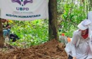 Ubpd: así avanza en la búsqueda de personas desaparecidas