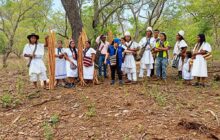 Agrosavia y el CIAT impulsan nuevas variedades de yuca en Colombia
