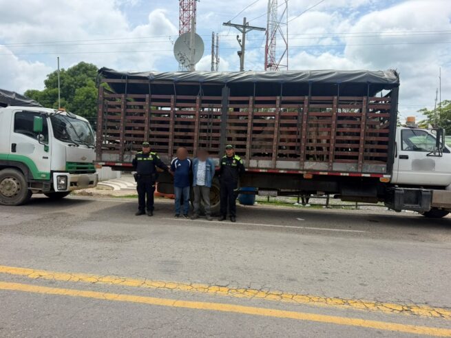 Capturados por presunto delito de abigeato en Bosconia, Cesar