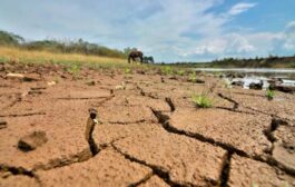 El Ideam declaró oficialmente la presencia del Fenómeno de El Niño en Colombia