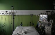 Francia reporta la muerte de persona con virus shamonda; se creía que no era transmisibles en humanos