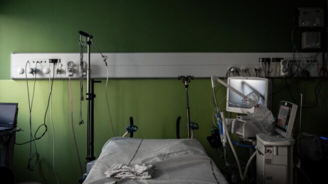 Francia reporta la muerte de persona con virus shamonda; se creía que no era transmisibles en humanos
