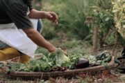 Al 2030, la FAO busca disminuir el hambre en el mundo