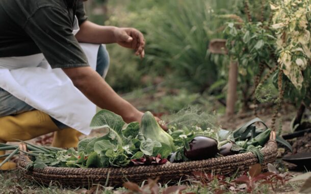Al 2030, la FAO busca disminuir el hambre en el mundo