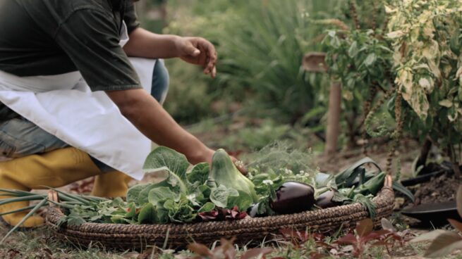 Al 2030, la FAO busca disminuir el hambre en el mundo