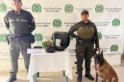 Thor, el canino antinarcóticos, detectó marihuana oculta en una encomienda en Bosconia