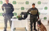 Thor, el canino antinarcóticos, detectó marihuana oculta en una encomienda en Bosconia