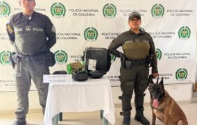 Thor, el canino antinarcóticos, detectó marihuana oculta en una encomienda en Bosconia