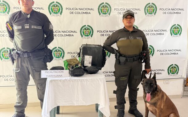 Thor, el canino antinarcóticos, detectó marihuana oculta en una encomienda en Bosconia