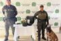 Thor, el canino antinarcóticos, detectó marihuana oculta en una encomienda en Bosconia