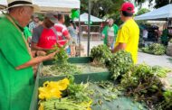 Este domingo, cerca de 60 productores llegan al Mercado Campesino en Garupal, en Valledupar