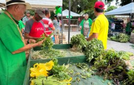 Este domingo, cerca de 60 productores llegan al Mercado Campesino en Garupal, en Valledupar