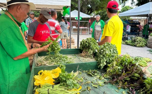 Este domingo, cerca de 60 productores llegan al Mercado Campesino en Garupal, en Valledupar