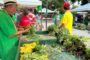 Este domingo, cerca de 60 productores llegan al Mercado Campesino en Garupal, en Valledupar