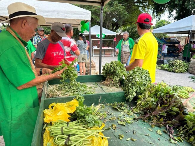 Este domingo, cerca de 60 productores llegan al Mercado Campesino en Garupal, en Valledupar