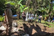 Impulsan granja comunitaria en territorio arhuaco