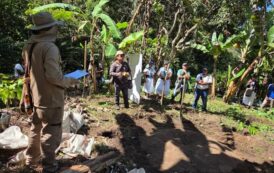 Impulsan granja comunitaria en territorio arhuaco