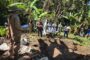 Impulsan granja comunitaria en territorio arhuaco