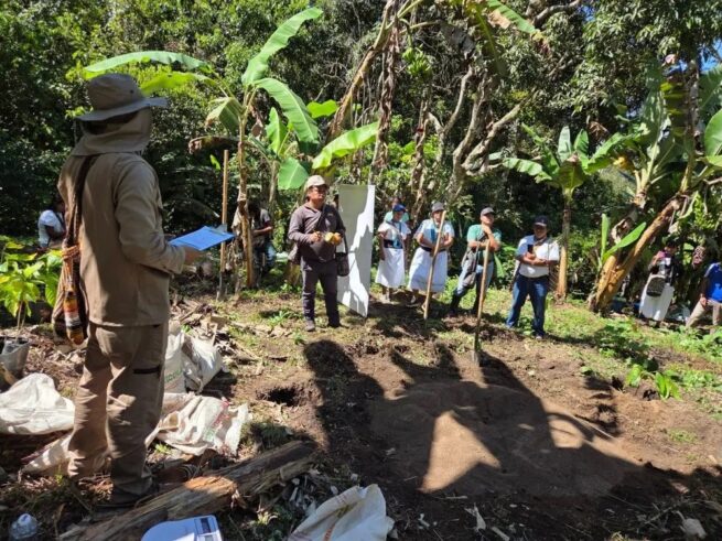 Impulsan granja comunitaria en territorio arhuaco