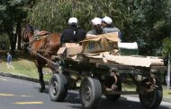 Procuraduría pone la lupa a sustitución de vehículos de tracción animal en el país